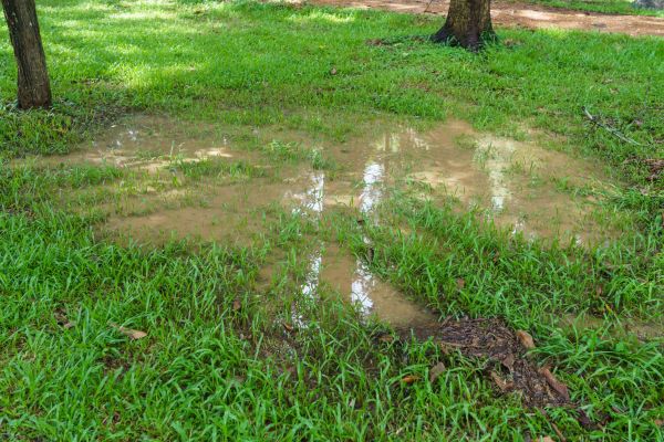 Cost of Storm Water Drainage Service in Allentown