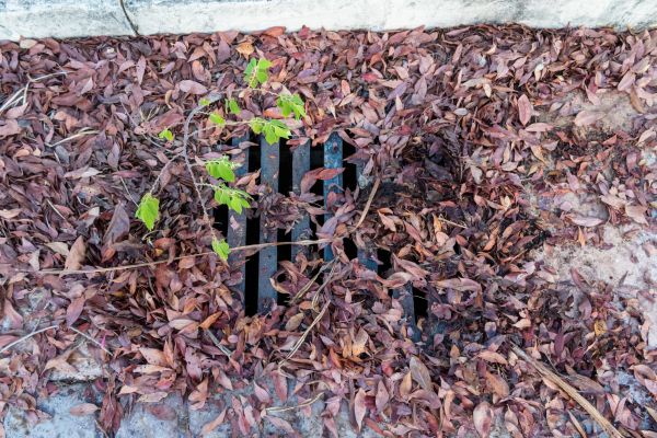 Cost of Yard Drain Unclogging in Allentown