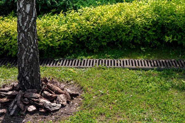 Cost of Yard Water Redirection in Allentown