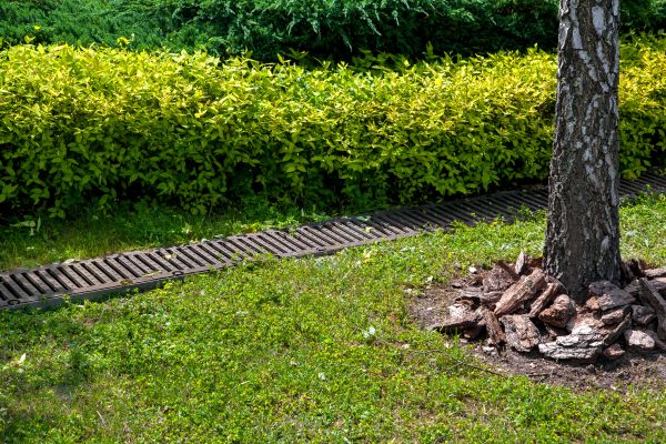 Cost of Residential Landscape Drainage in Allentown